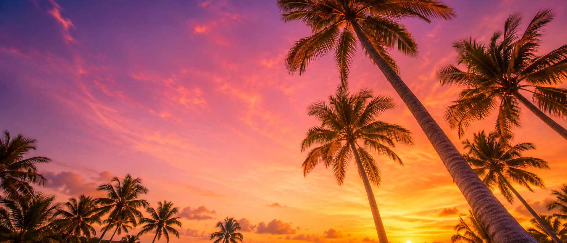 Miami skyline at sunset with cruise ships and palm trees